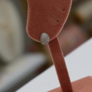Silver shine earring