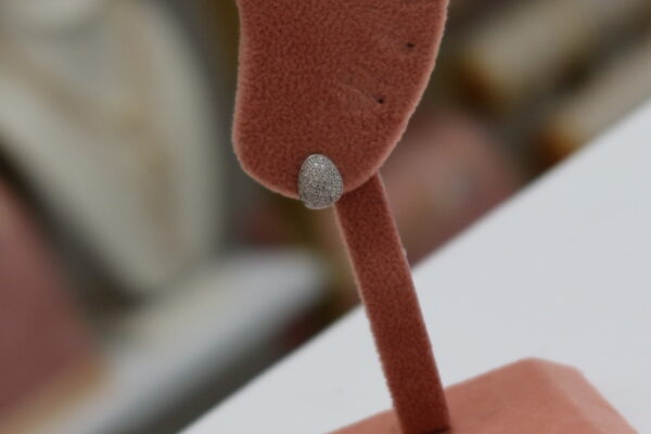 Silver shine earring